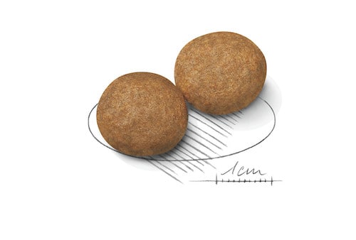ROYAL CANIN Medium Adult