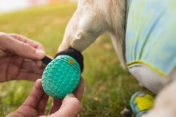 RUFFWEAR Grip Trex Noir