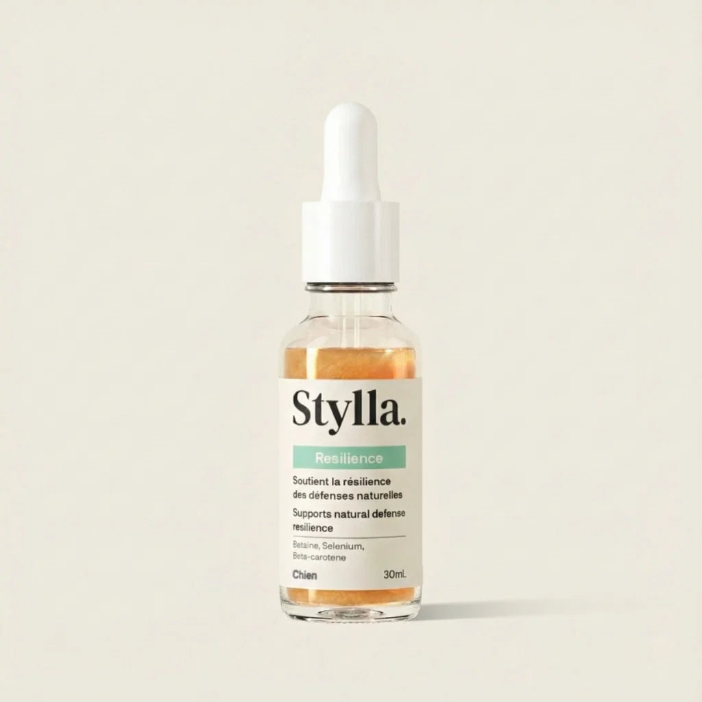 STYLLA RESILIENCE - Complément immunitaire pour chiens