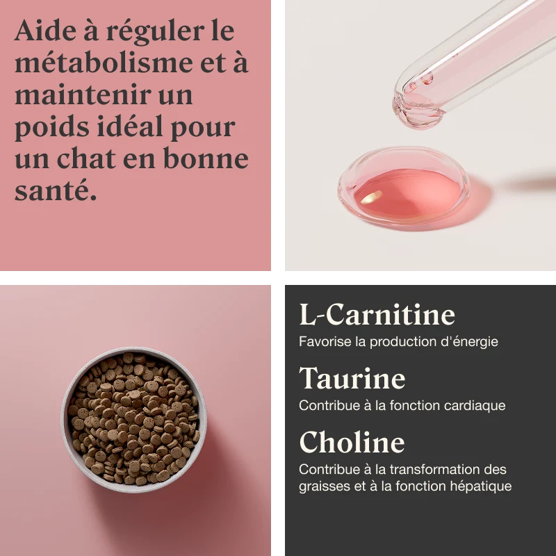 STYLLA IDEAL WEIGHT - Complément métabolisme & poids pour chats