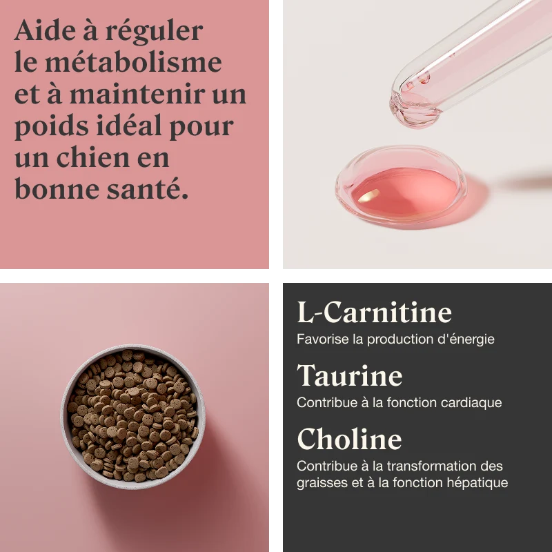 STYLLA IDEAL WEIGHT - Complément métabolisme & poids pour chiens