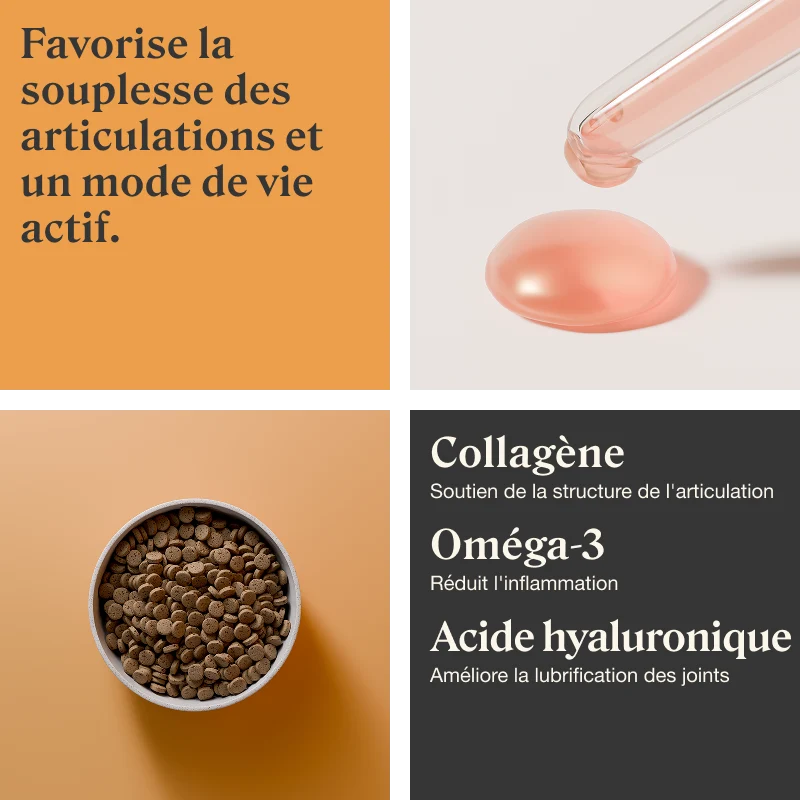 STYLLA MOBILITY - Complément articulaire pour chiens