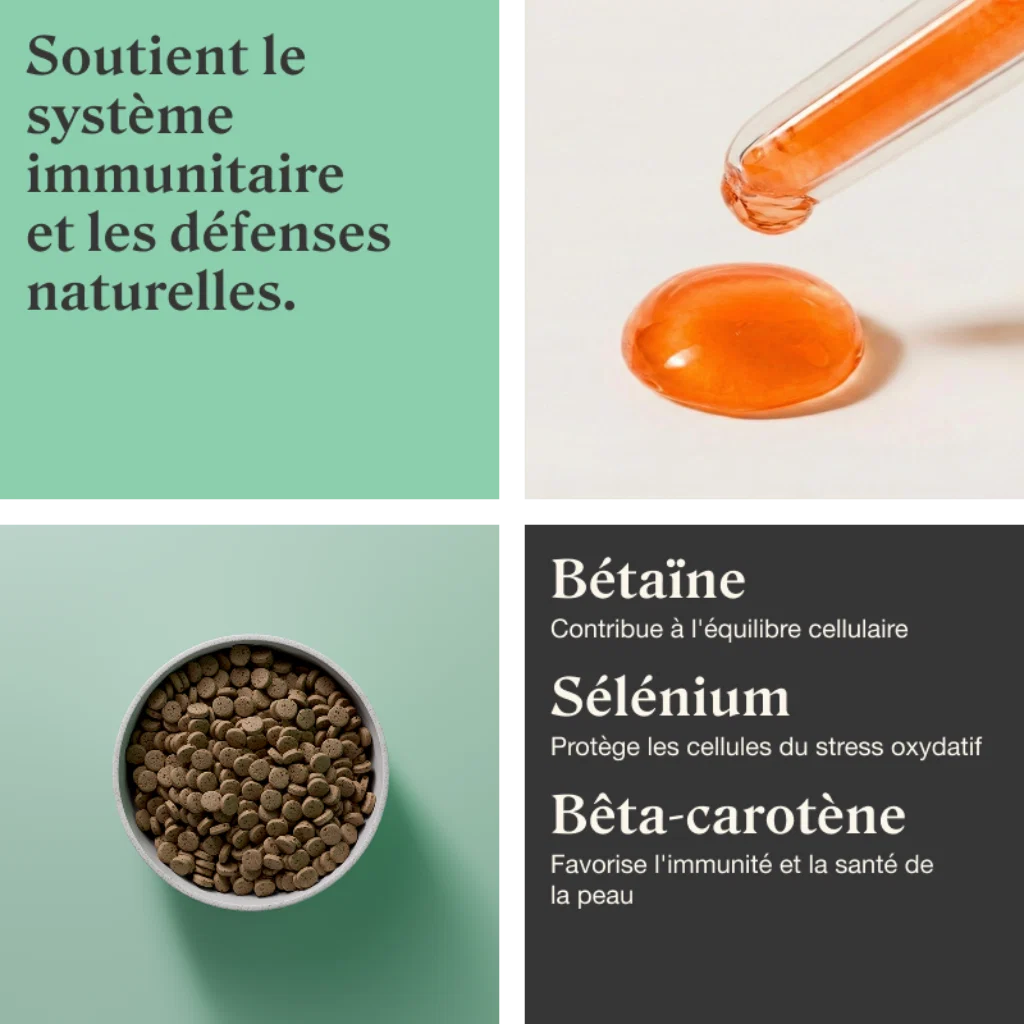 STYLLA RESILIENCE - Complément immunitaire pour chats