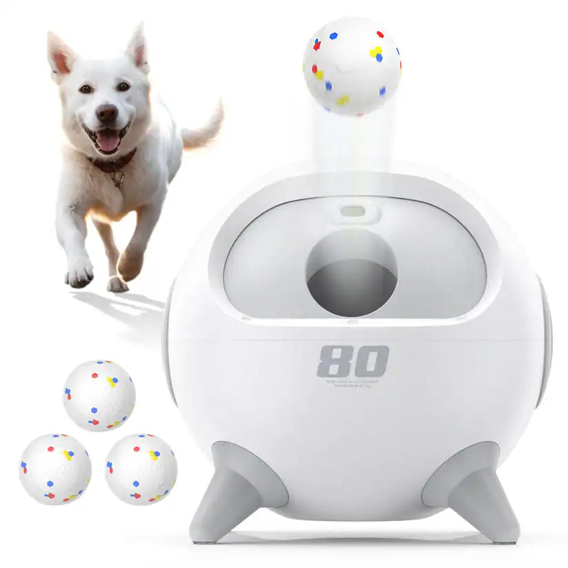 UAHPET Lanceur de balles automatique pour chien