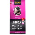 BELCANDO Baseline Explorer