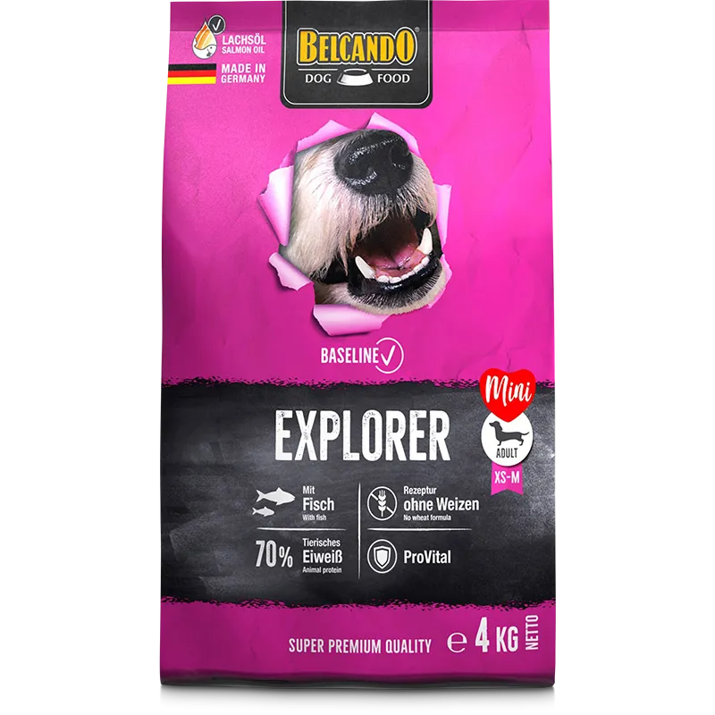 BELCANDO Baseline Explorer