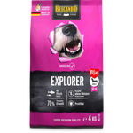BELCANDO Baseline Explorer