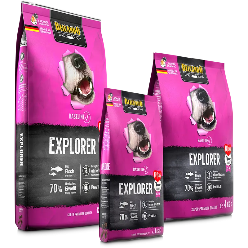 BELCANDO Baseline Explorer
