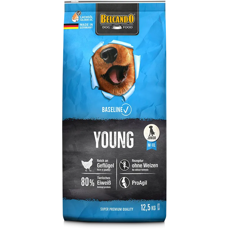 BELCANDO Baseline Young