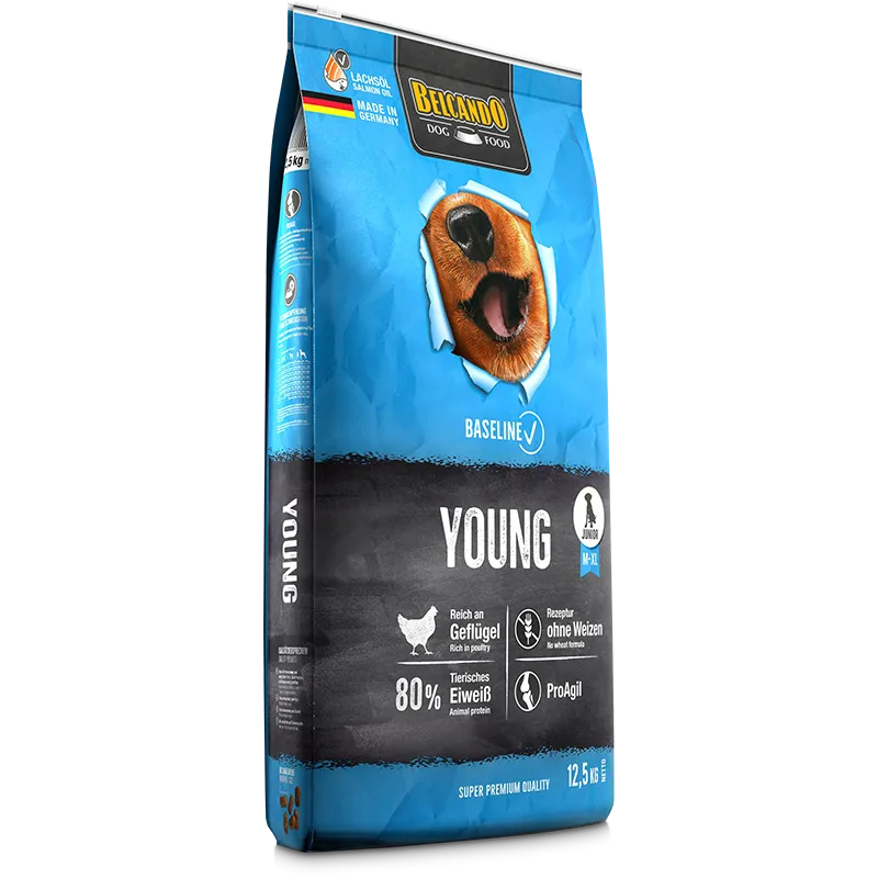BELCANDO Baseline Young