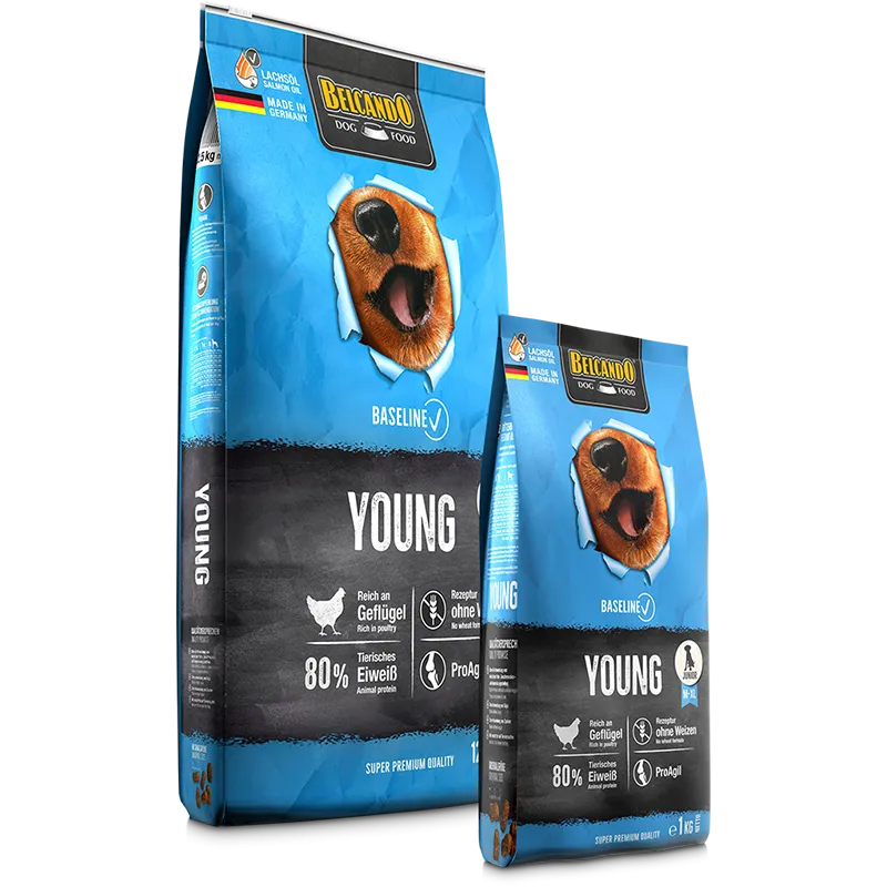 BELCANDO Baseline Young