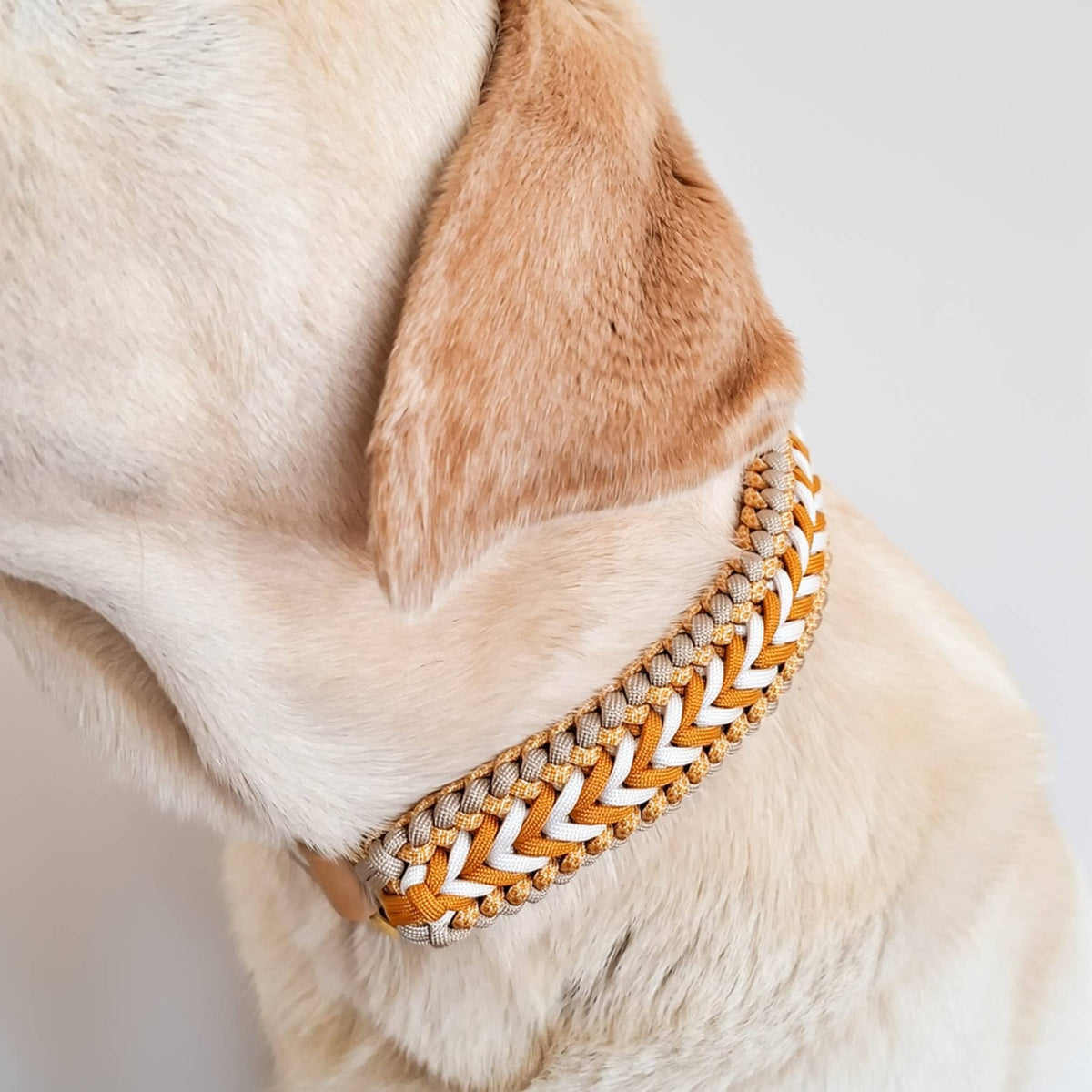 TRUFFE & FLAIR Collier tressé Biothane/Paracorde - Jaune