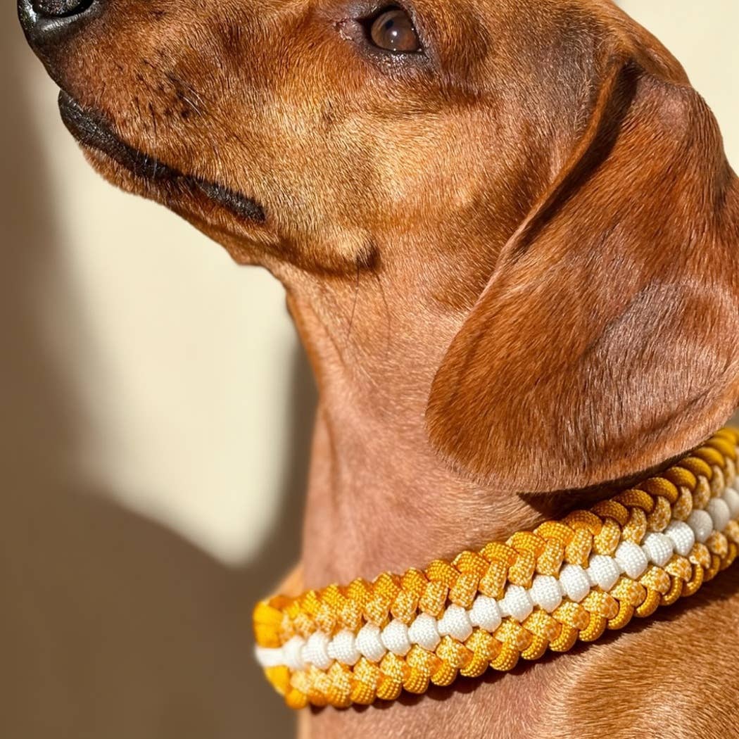 TRUFFE & FLAIR Collier petit chien XS Biothane/Paracorde - Jaune