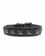 MILK & PEPPER New Volt / Calavera Classic Collar