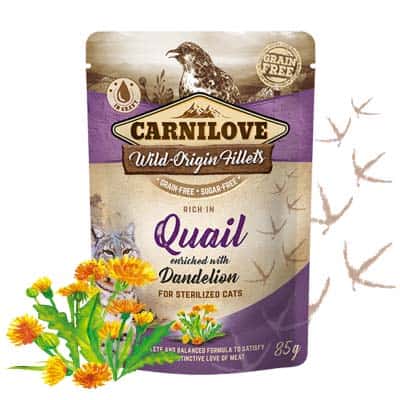CARNILOVE Quail 85g