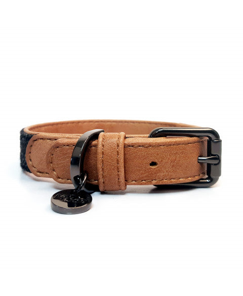 MILK & PEPPER Archibald Classic Collar