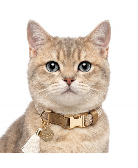 MILK & PEPPER Kaya Adjustable Cat Collar - porté par un chien
