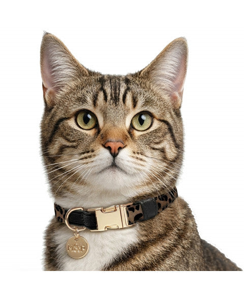 MILK & PEPPER Zaria Adjustable Cat Collar - porté par un chien