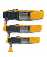 MILK & PEPPER Kaya Adjustable Collar - porté par un chien