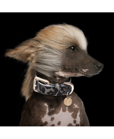 MILK & PEPPER Panthere Classic Collar