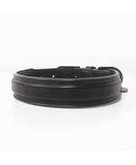 MILK & PEPPER Piccadilly Classic Collar