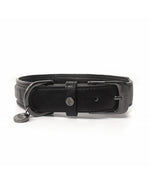MILK & PEPPER Piccadilly Classic Collar