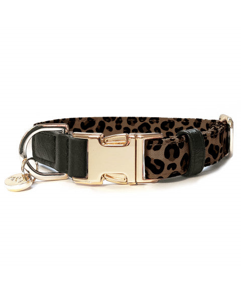 MILK & PEPPER Zaria Adjustable Collar