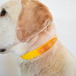 TRUFFE & FLAIR Collier Biothane Signature - Jaune