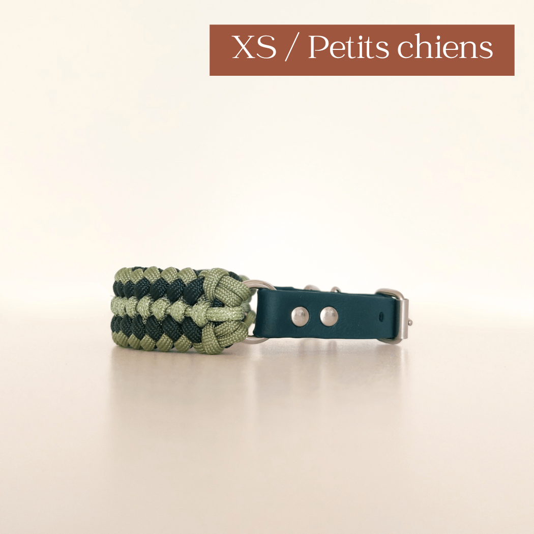 TRUFFE & FLAIR Collier petit chien XS Biothane/Paracorde - Vert