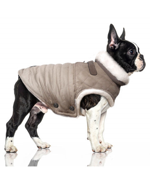 MILK & PEPPER Gunnar Down Jacket - porté par un chien