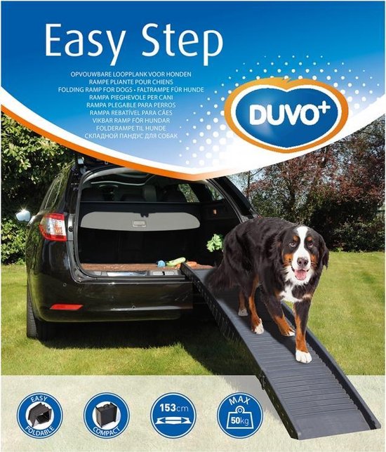 DUVOPLUS EASY STEP Rampe