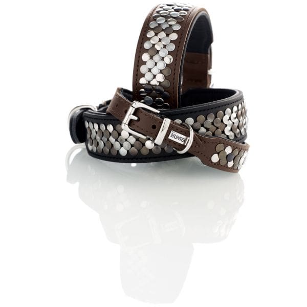 HUNTER Collier Arizona Up