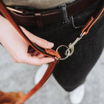 HUNTER Laisse Réglable Canadian Up 15/200 Cognac/Noir