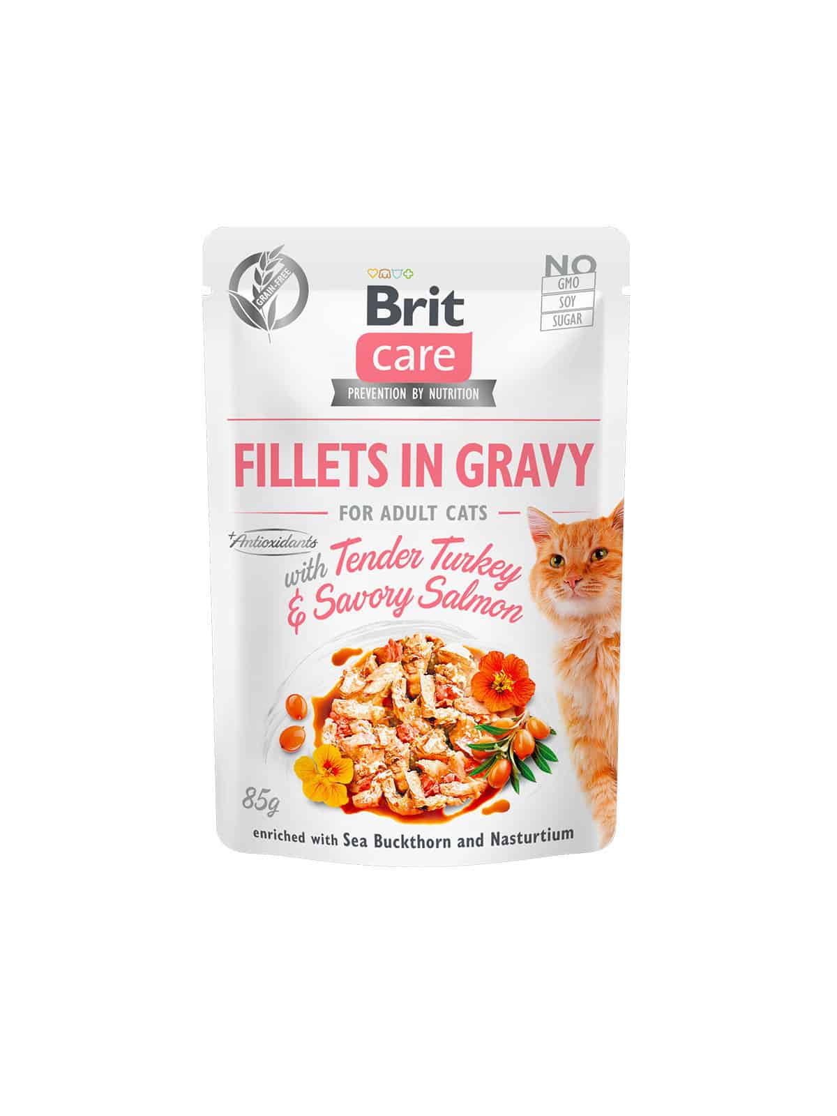 Brit Care Cat Fillets in Gravy with Tender Turkey & Savory Salmon 85g