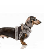 MILK & PEPPER Aurelius Harness - porté par un chien