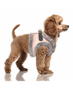 MILK & PEPPER Marianne Harness - porté par un chien