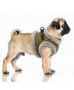 MILK & PEPPER Matteo Harness - porté par un chien