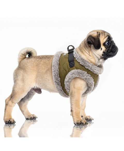 MILK & PEPPER Matteo Harness - porté par un chien