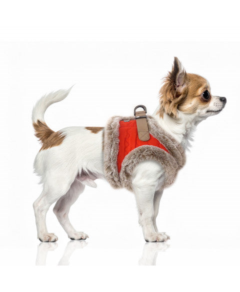 MILK & PEPPER Percy Harness - porté par un chien