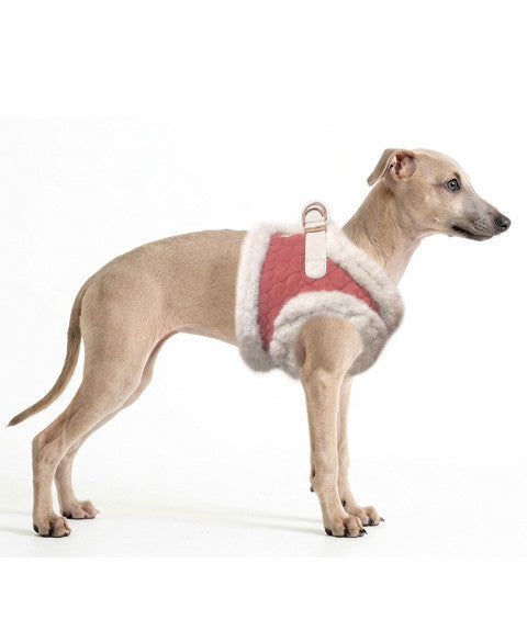 MILK & PEPPER Solene Harness - porté par un chien
