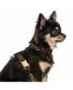 MILK & PEPPER Zaria Harness Straps - porté par un chien