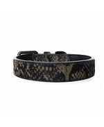 MILK & PEPPER Iguania Classic Collar