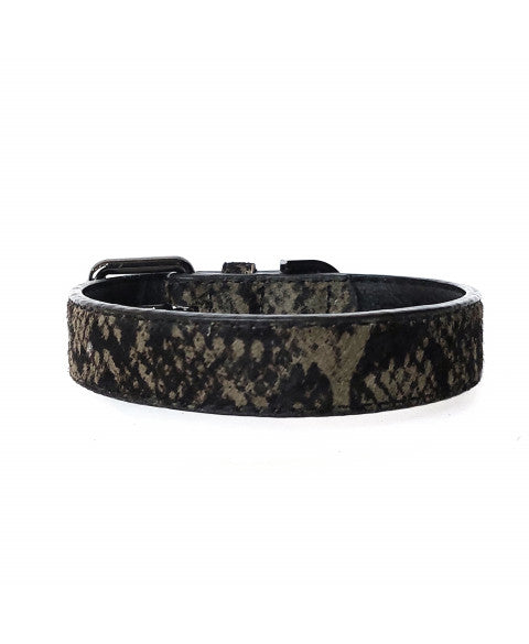 MILK & PEPPER Iguania Classic Collar