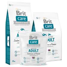 BRIT Care Dog Grain Free Adult Salmon & Potato