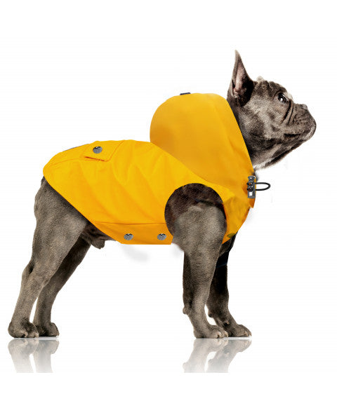 MILK & PEPPER Tribord Bulldog Raincoat - porté par un chien