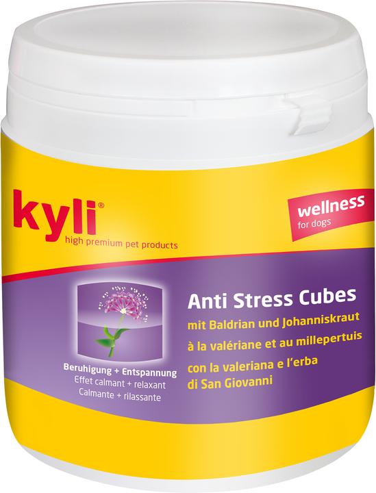 KYLI Cubes Anti-stress