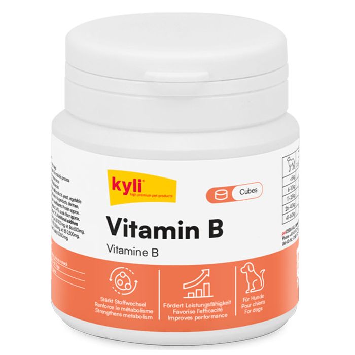 KYLI Vitamine B 120g