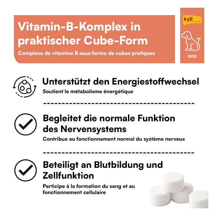 KYLI Vitamine B 120g