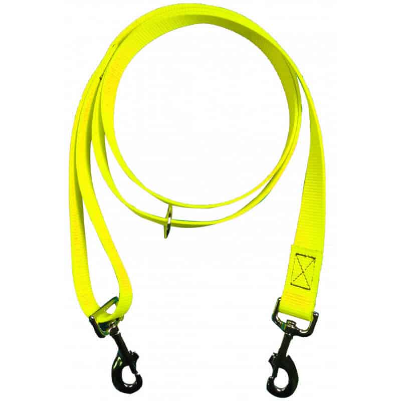 Max & Molly Laisse Chien Jaune