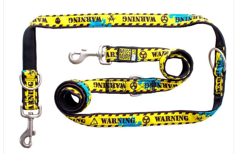 Max & Molly Laisse Chien Warning